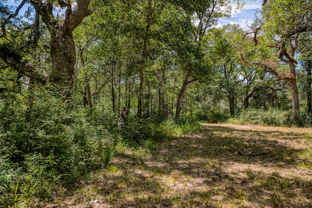 3618 State Highway 159, La Grange, TX 78945 - photo 12