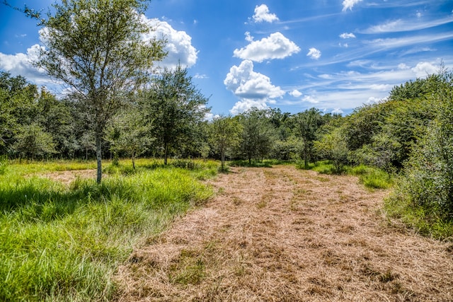 3618 State Highway 159, La Grange, TX 78945 - photo 22