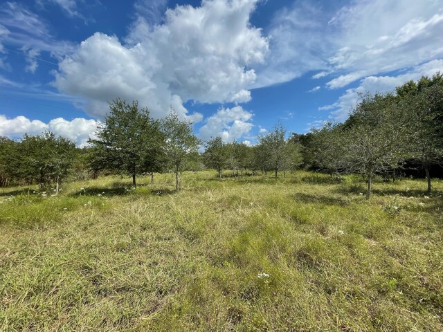 3618 State Highway 159, La Grange, TX 78945 - photo 21
