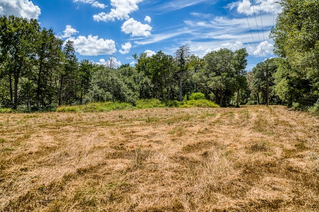 3618 State Highway 159, La Grange, TX 78945 - photo 16