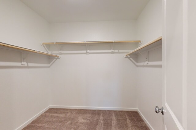 spacious closet with carpet