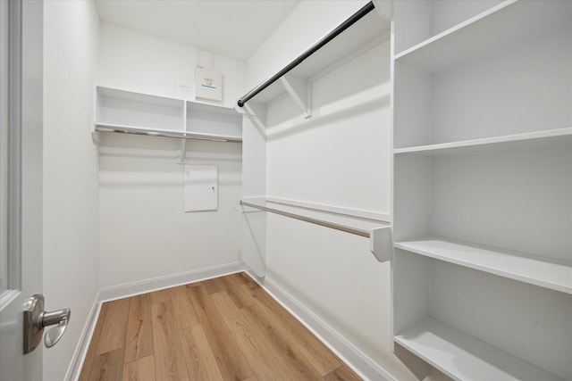 spacious closet with hardwood / wood-style floors