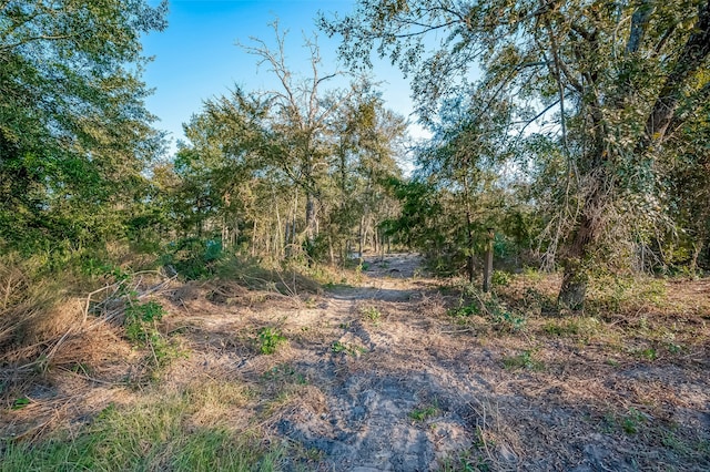 Listing photo 3 for 0 Tipperary St, Hempstead TX 77445