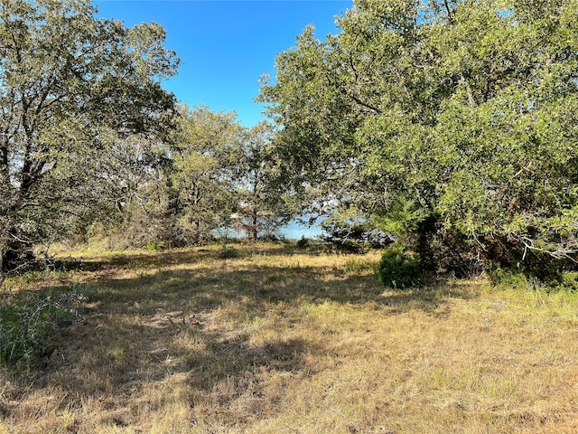 Listing photo 3 for TBD-C Lcr 882, Jewett TX 75846