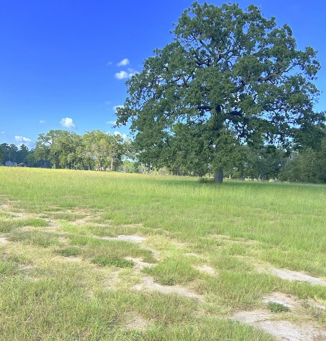 view of yard with a rural view