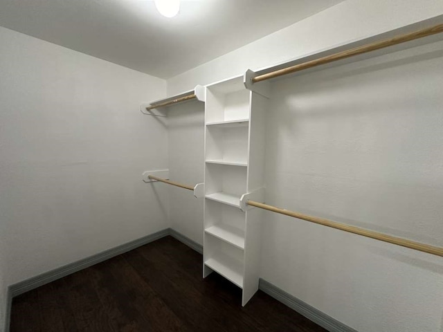 walk in closet with dark hardwood / wood-style flooring