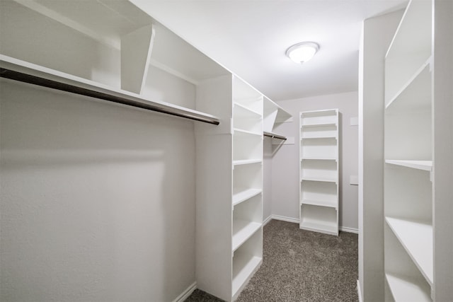 walk in closet featuring dark carpet