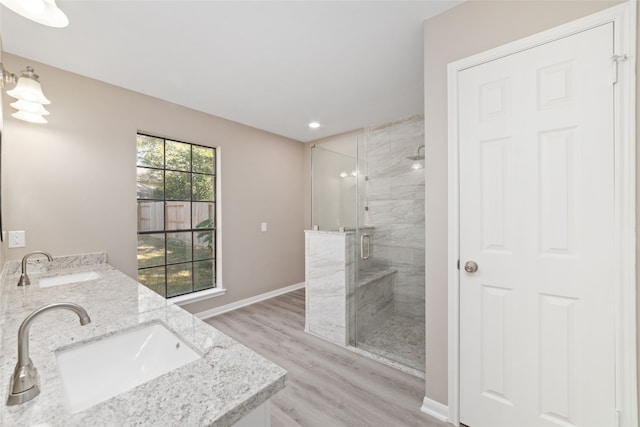 bathroom featuring vanity, walk in shower, and wood-type flooring