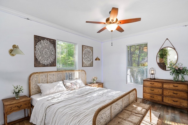 bedroom featuring multiple windows, ceiling fan, dark wood-type flooring, and crown molding