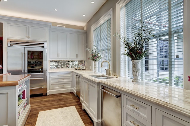 kitchen featuring dark wood-style floors, a sink, a wealth of natural light, and stainless steel appliances