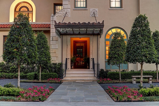view of exterior entry with stucco siding