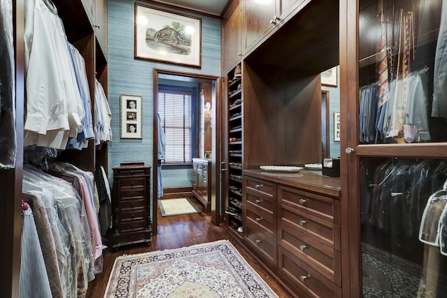 walk in closet featuring dark wood-style flooring