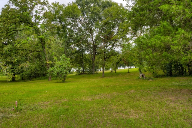 Listing photo 3 for 13246 Snow Ln, Willis TX 77318