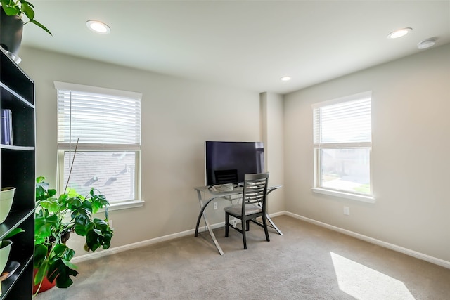 carpeted office with plenty of natural light