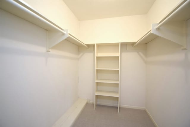 walk in closet featuring carpet floors