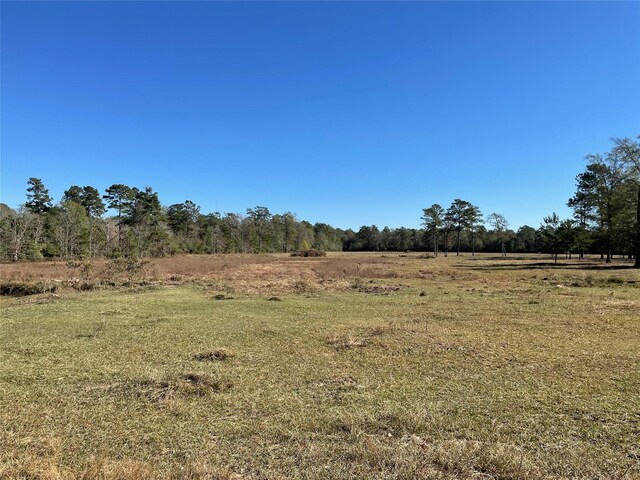0 California Ave, Cleveland, TX 77328 - photo 9