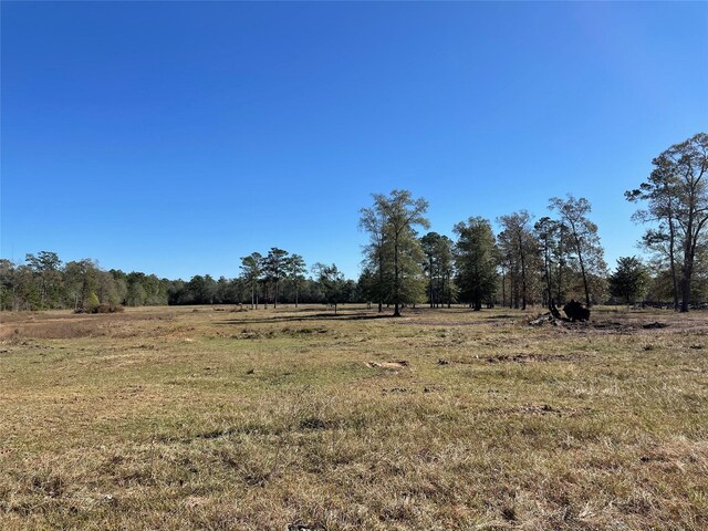 0 California Ave, Cleveland, TX 77328 - photo 10