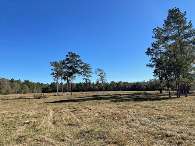 0 California Ave, Cleveland, TX 77328 - photo 1