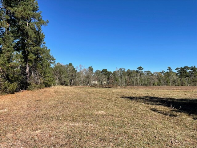 0 California Ave, Cleveland, TX 77328 - photo 4