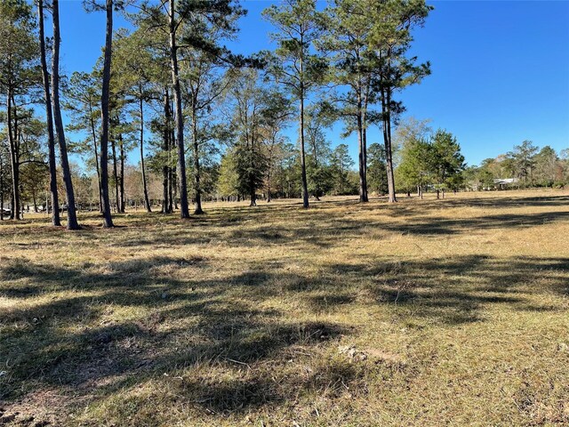 0 California Ave, Cleveland, TX 77328 - photo 7