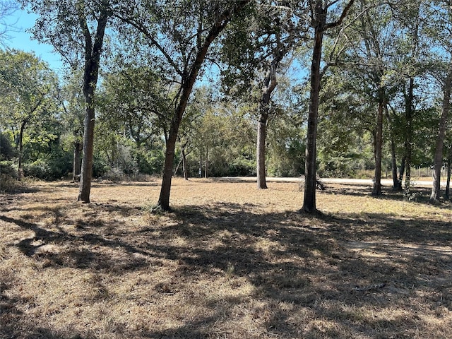 25071 Leitrim St, Hempstead TX, 77445 land for sale