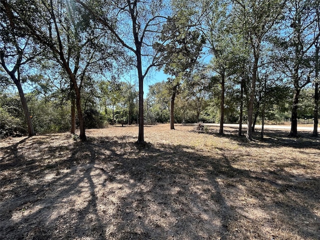 Listing photo 3 for 25071 Leitrim St, Hempstead TX 77445