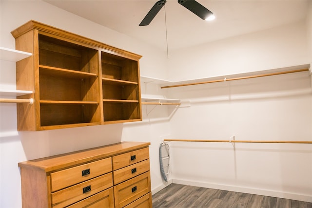 walk in closet with ceiling fan and dark wood-type flooring