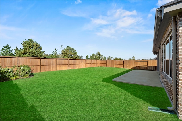 view of yard featuring a patio area