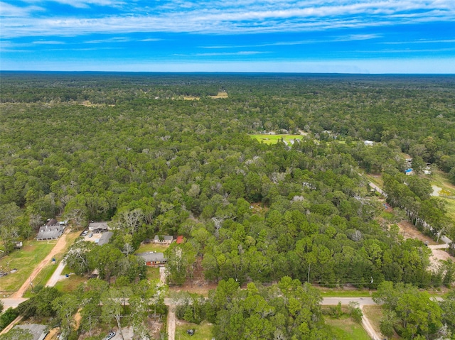 0 County Road 3892 W, Cleveland TX, 77328 land for sale