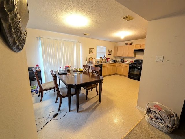 dining room featuring a textured ceiling and sink