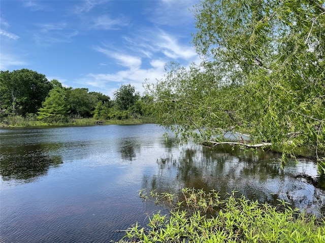 Listing photo 3 for TBD Cedar Creek Rd, Hempstead TX 77445