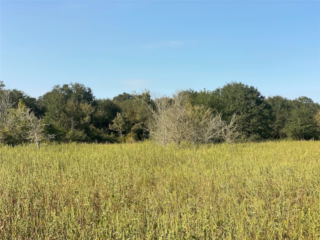 8ACRES County Road 229, Bedias TX, 77831 land for sale