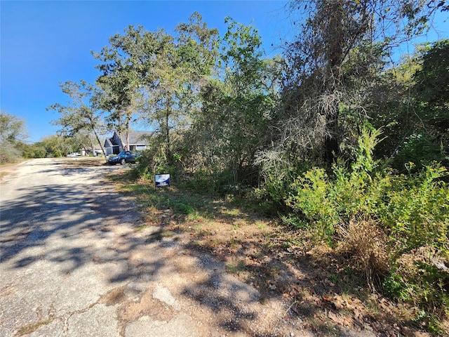 0 Buck Ln, Hempstead TX, 77445 land for sale