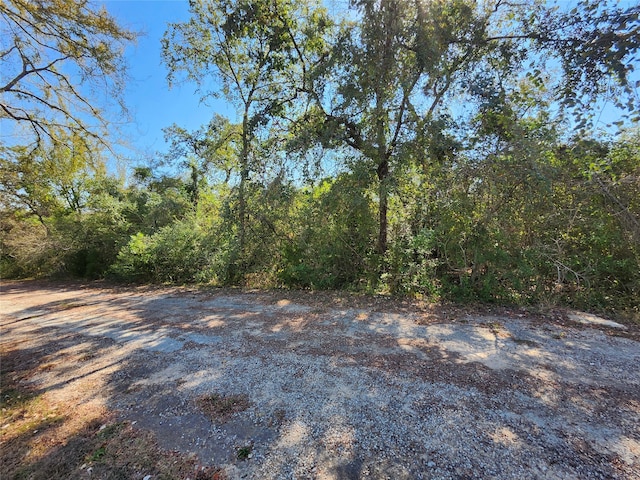 Listing photo 3 for 0 Buck Ln, Hempstead TX 77445