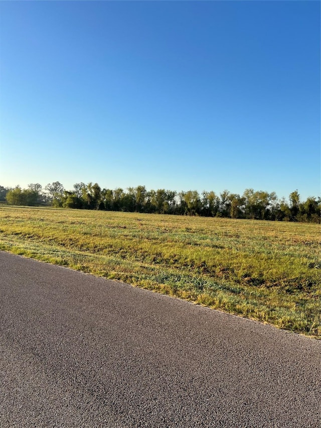 3834 Tankersley Cir, Rosharon, TX 77583 - photo 3