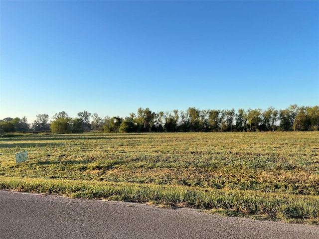 3834 Tankersley Cir, Rosharon, TX 77583 - photo 8