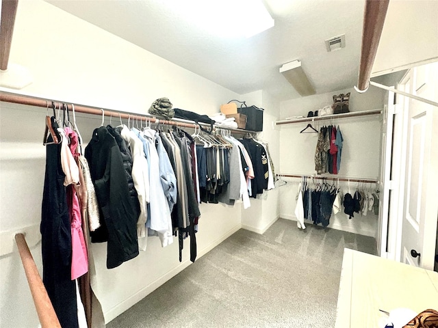 spacious closet with light colored carpet