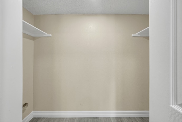 walk in closet featuring wood-type flooring