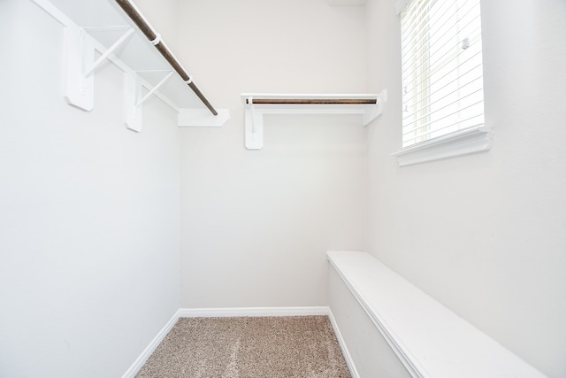 spacious closet with carpet floors