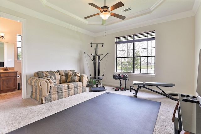 exercise area featuring carpet flooring, a tray ceiling, ceiling fan, and sink