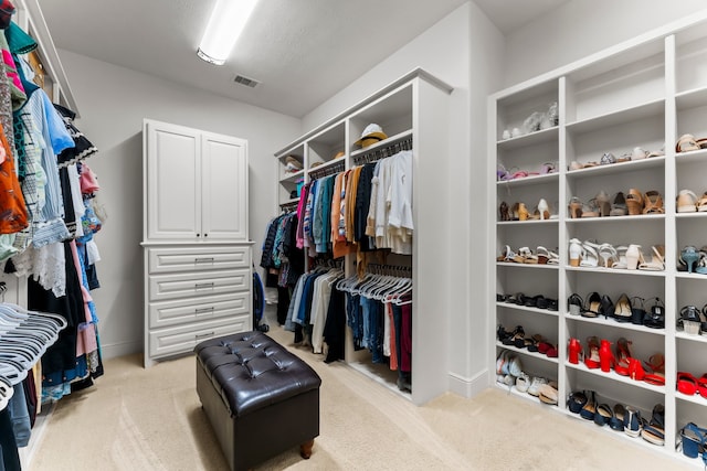 spacious closet with light colored carpet