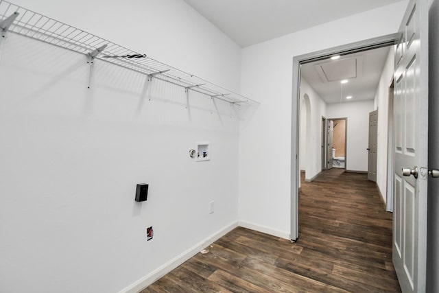 laundry area featuring dark hardwood / wood-style flooring and washer hookup