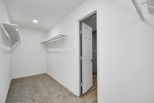 walk in closet featuring light colored carpet