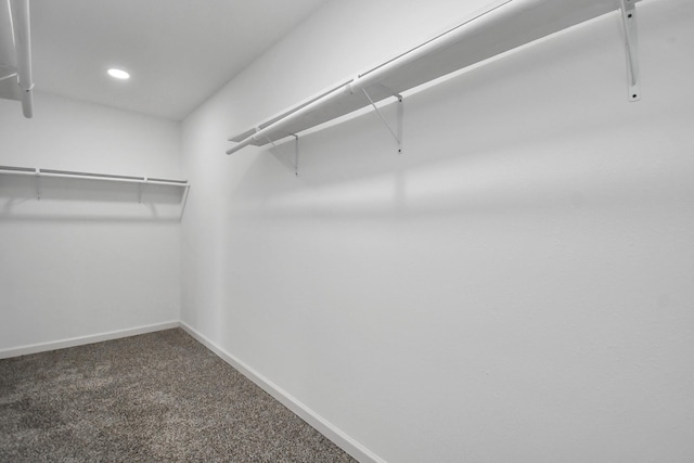 spacious closet featuring carpet