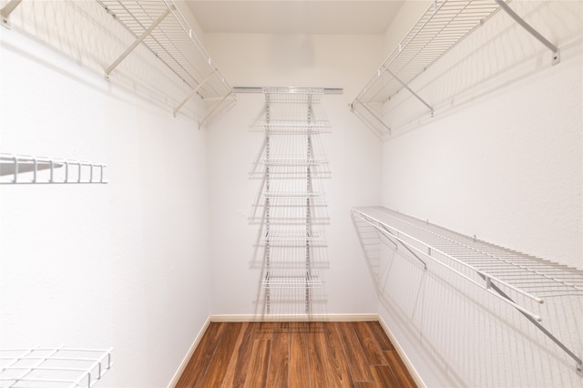 walk in closet featuring wood-type flooring