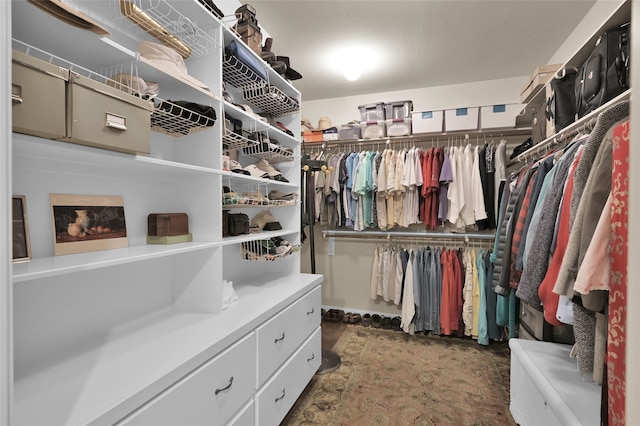 view of spacious closet