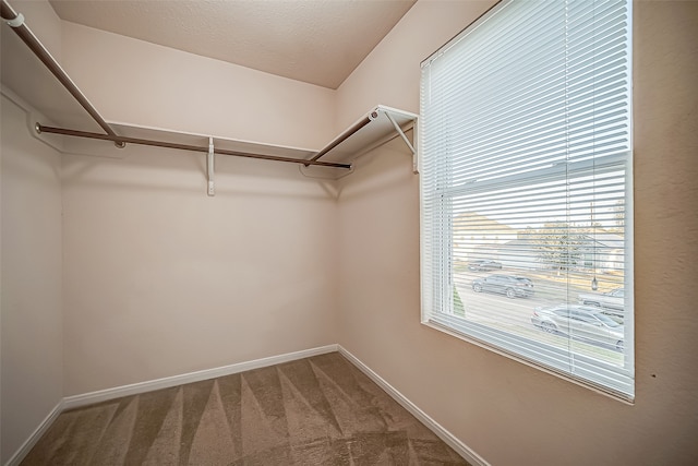 spacious closet with carpet floors