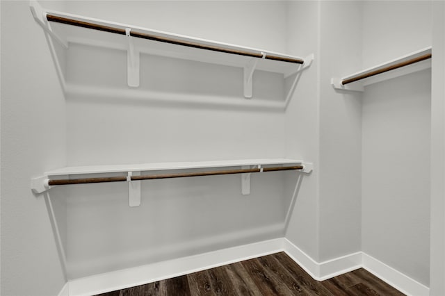 walk in closet featuring dark wood-type flooring