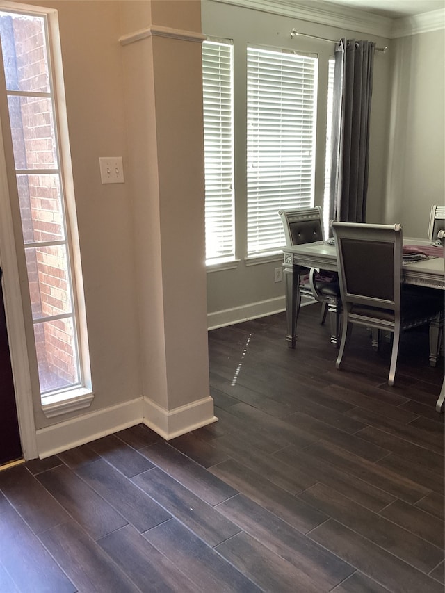 interior space featuring ornamental molding and dark wood-type flooring