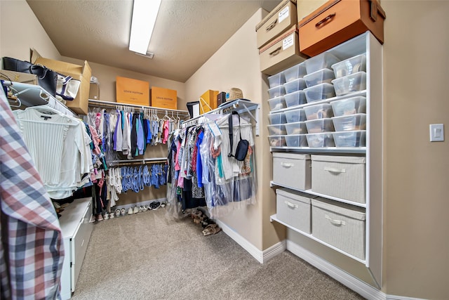 walk in closet with light carpet